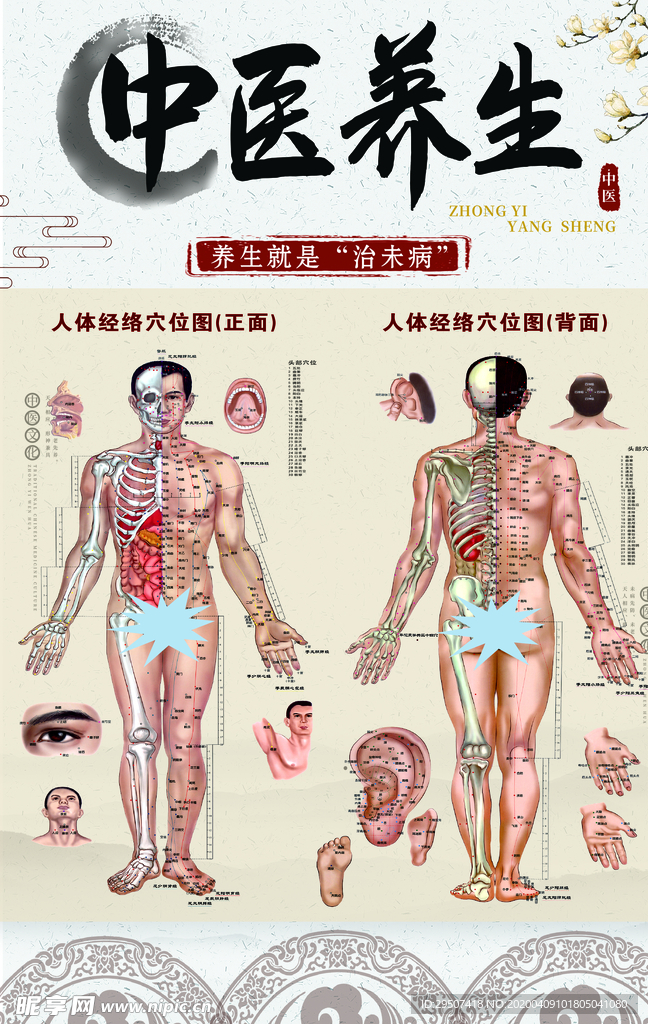 中医推拿按摩经络技法大全最新体验