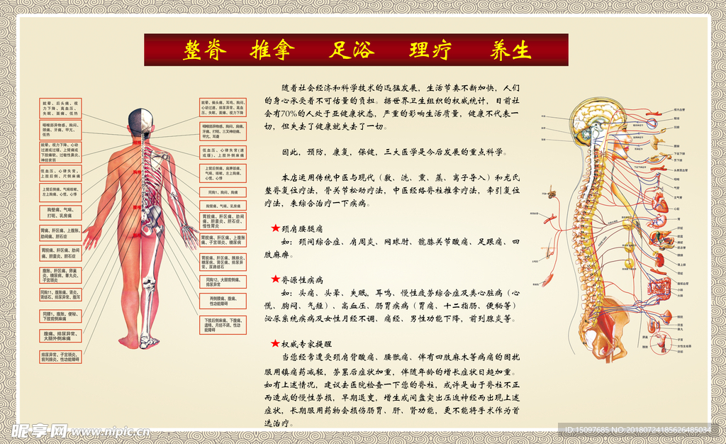 推拿与养生保健最新版片与深入探索