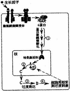 膨松剂必须具备在什么气体产生较慢这一条件