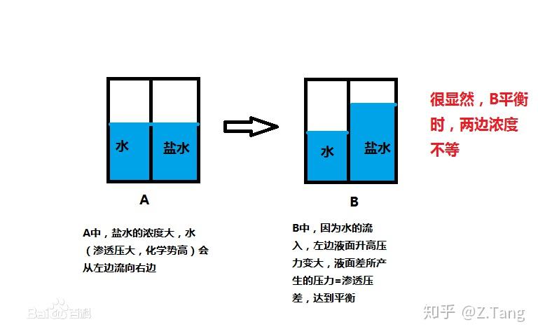 羧酸盐易溶于水吗