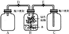 托辊装置