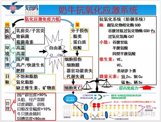 呋喃树脂技术出售