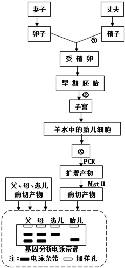 络筒工序的目的及工艺要求